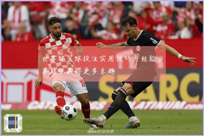 世界杯买球投注实用技巧与经验分享助你赢得更多乐趣