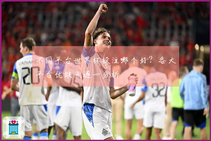 不同平台世界杯投注哪个好？各大平台优缺点逐一分析