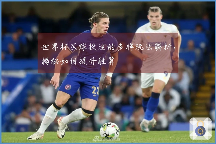 世界杯买球投注的多样玩法解析，揭秘如何提升胜算