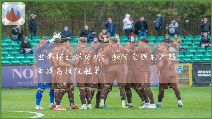 世界杯让球分析：如何合理利用赔率提高投注胜算
