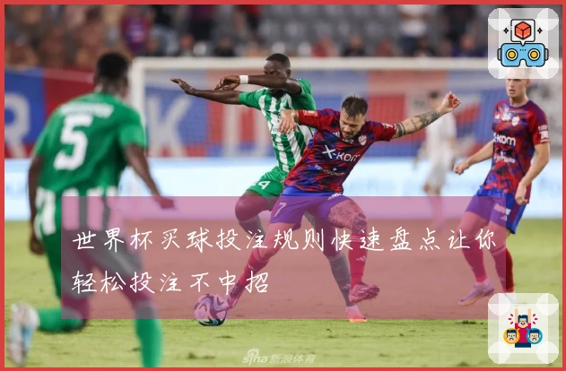 世界杯买球投注规则快速盘点让你轻松投注不中招