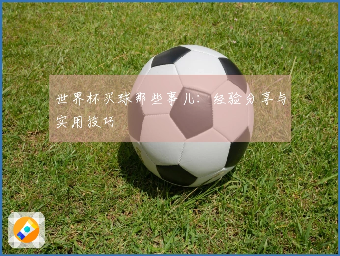 世界杯买球那些事儿：经验分享与实用技巧
