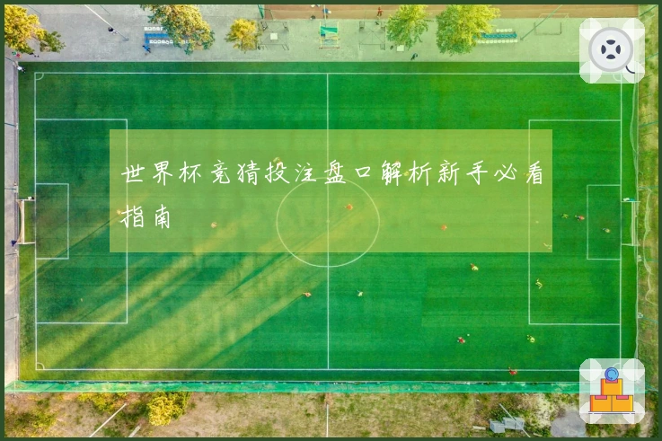 世界杯竞猜投注盘口解析新手必看指南